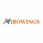 Airowings profile picture