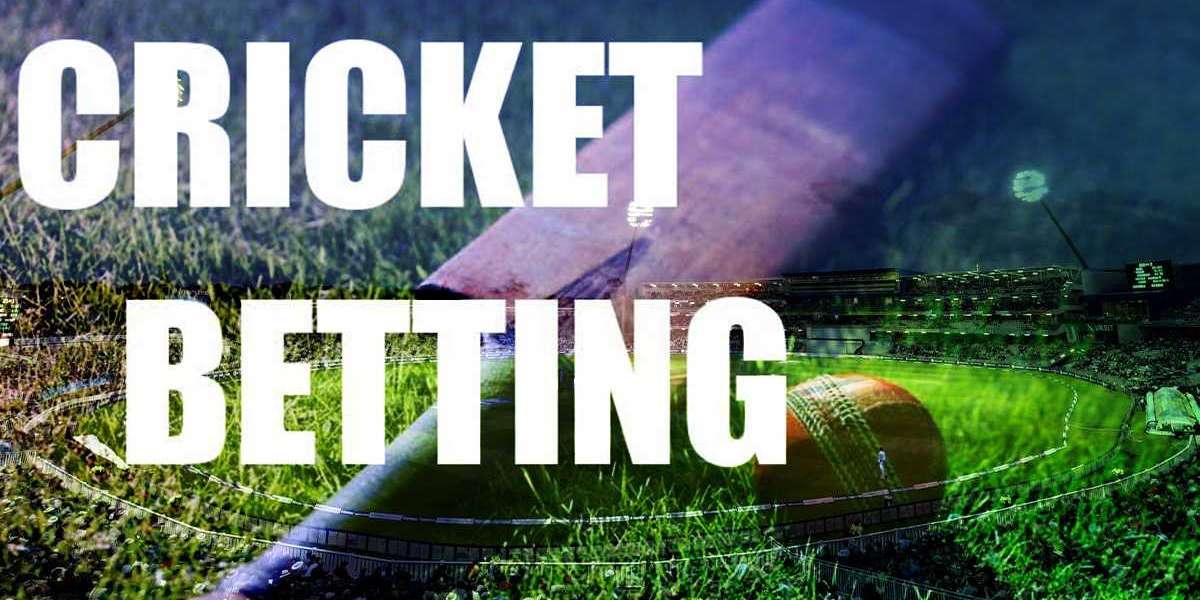 The Best Cricket Betting ID Provider: All You Need To Know Before You Place Your Bets